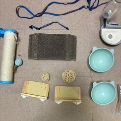 キャットケージの画像