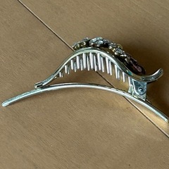 バレッタの画像