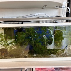 水槽　LEDライトの画像