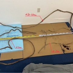 藤蔓フジヅルセットの画像