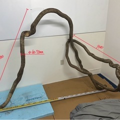 藤蔓フジヅルセットの画像