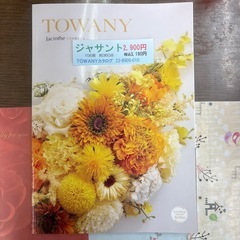 シャディ カタログギフト-ジャサントの画像