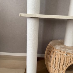 【決まりました】キャットタワーの画像