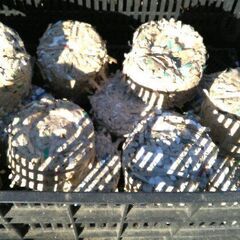 薪　垣根を伐採した枝です(2025/12/26)の画像