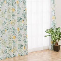 ニトリカーテン
🍋の画像