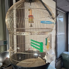 鳥の巣。の画像