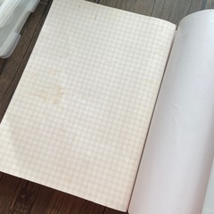 うたまる　離乳食　リッチェル　わけわけフリージングの画像