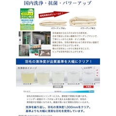 【美品】羽毛布団 ダブル アイボリー色 暖か♪の画像