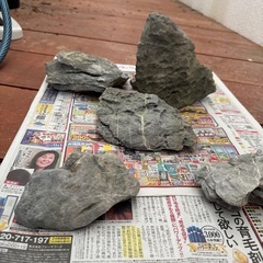 水槽用石の画像