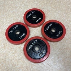 FIGHTING  ROAD ラバープレート シャフト　 20kgセットの画像