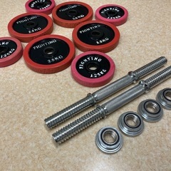 FIGHTING  ROAD ラバープレート シャフト　 20kgセットの画像