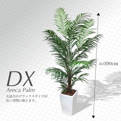 <元値39,800円>特大フェイクグリーンの画像