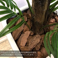 <元値39,800円>特大フェイクグリーンの画像