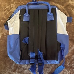 【新品】 ドナルドダックリュックサックの画像