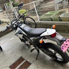 Dトラッカーの画像