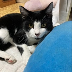 🍄とーっても甘えん坊のくーちゃん🍄🌝🌙🌙