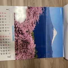 【高級】花紀行2026年カレンダーの画像