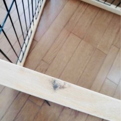 ペットケージ
の画像