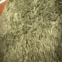 【急募】ラグ　カーペット　グリーンの画像