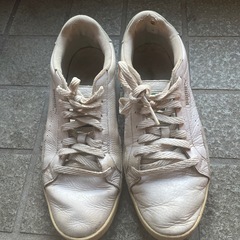 プーマ24.5の画像