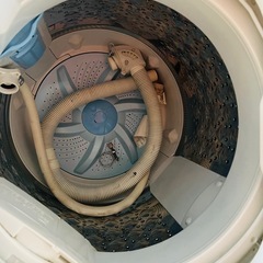 TOSHIBA 5キロ洗濯機の画像