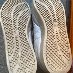 プーマ24.5の画像