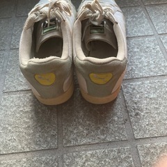 プーマ24.5の画像