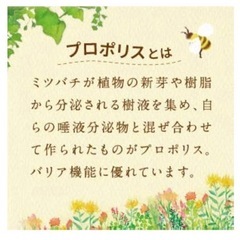 新品未開封】銀座ステファニー化粧品リーチデンタルフロスプロポリテラ５０ｍ+5m増量 数量限定5m増量品の画像