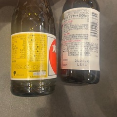 栄養ドリンク2本の画像