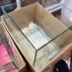【残り1個】フレームなしガラス水槽30×30×40cmの画像