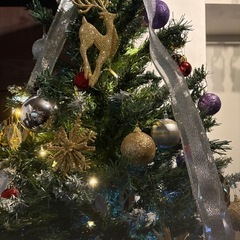 クリスマスツリーの画像