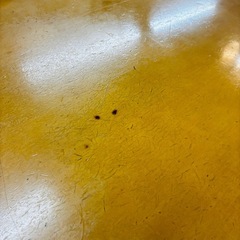 ⭐️爆安⭐️ニトリ　ダイニングテーブルセット　椅子三脚の画像