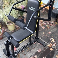アルインコ筋トレマシンの画像