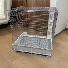 コンフォート60ハイルーフ《ロイヤルチンチラDX》＋60タワー＋飼育用品一式の画像