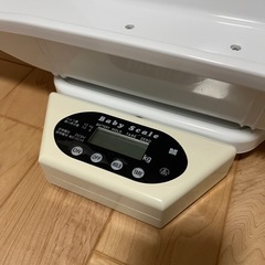 MISAKI ベビースケール 大樹
 の画像