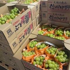 長野県産シャインマスカット特大房の画像