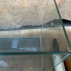 【決まりました】フレームなしガラス水槽 60×30×40cm の画像