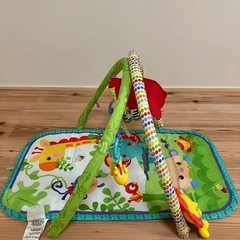 フィッシャープライス　レインフォレスト　指遊びミュージカルジムの画像