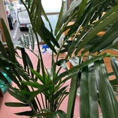 フェイク観葉植物ヤシの画像