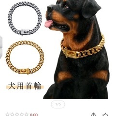 犬用首輪
の画像