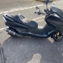 マジェスティの画像