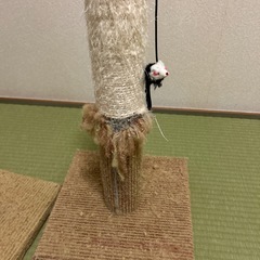 キャットタワーの画像