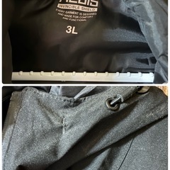 紳士コート？の画像