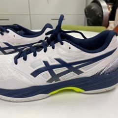 バドミントンシユ－ズ　27.5cmの画像