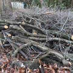 ［無料］薪　原木　クヌギの画像