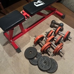 トレーニング　バーベル　ベンチ ワークアウトの画像