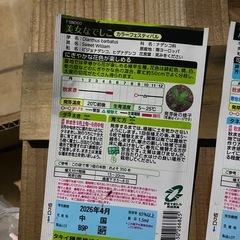 ナデシコ3種の画像