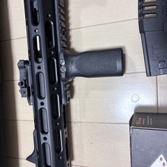     (ラーテル)ハニーバジャーの画像