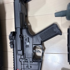     (ラーテル)ハニーバジャーの画像