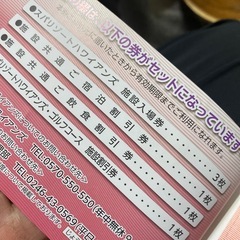 スパリゾートハワイアンズの株主優待券 未使用品フルセットの画像